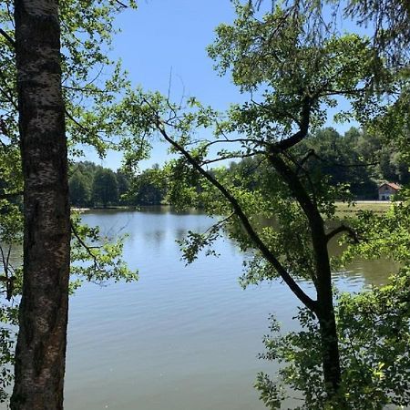 Ferienwohnung Waldblick ハウツェンベルク エクステリア 写真