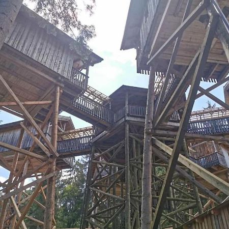 Ferienwohnung Waldblick ハウツェンベルク エクステリア 写真