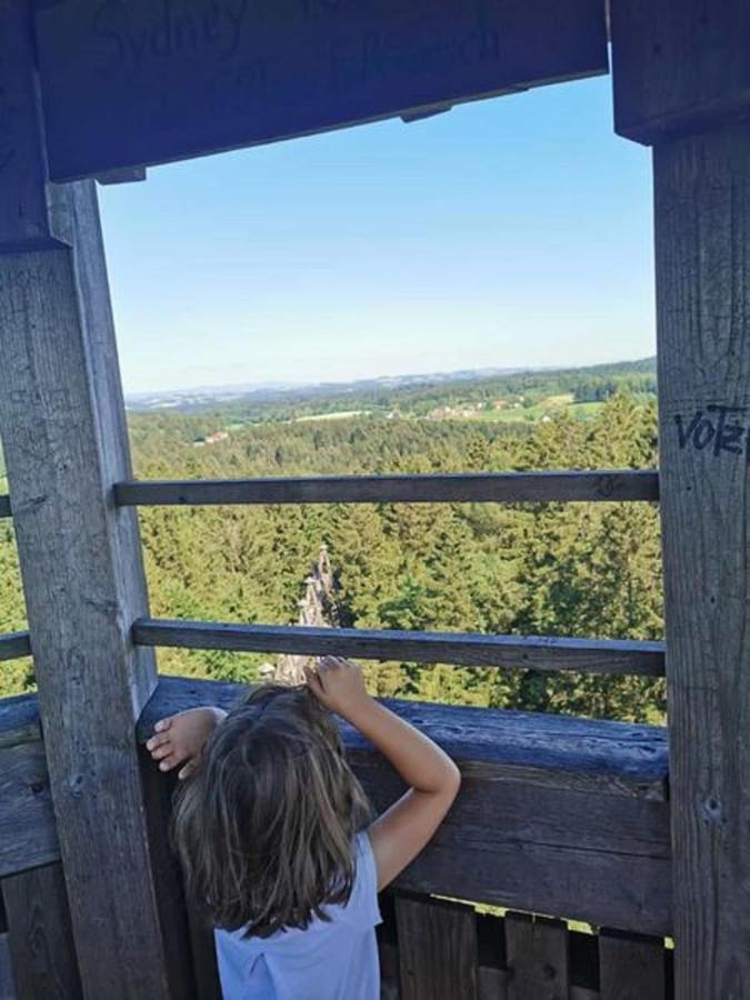 Ferienwohnung Waldblick ハウツェンベルク エクステリア 写真
