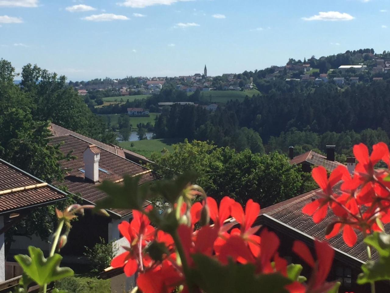 Ferienwohnung Waldblick ハウツェンベルク エクステリア 写真