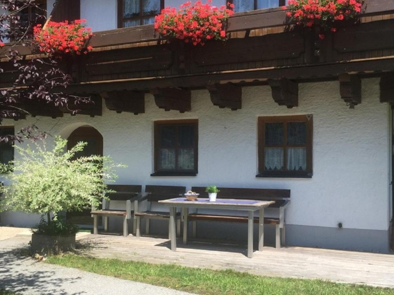 Ferienwohnung Waldblick ハウツェンベルク エクステリア 写真