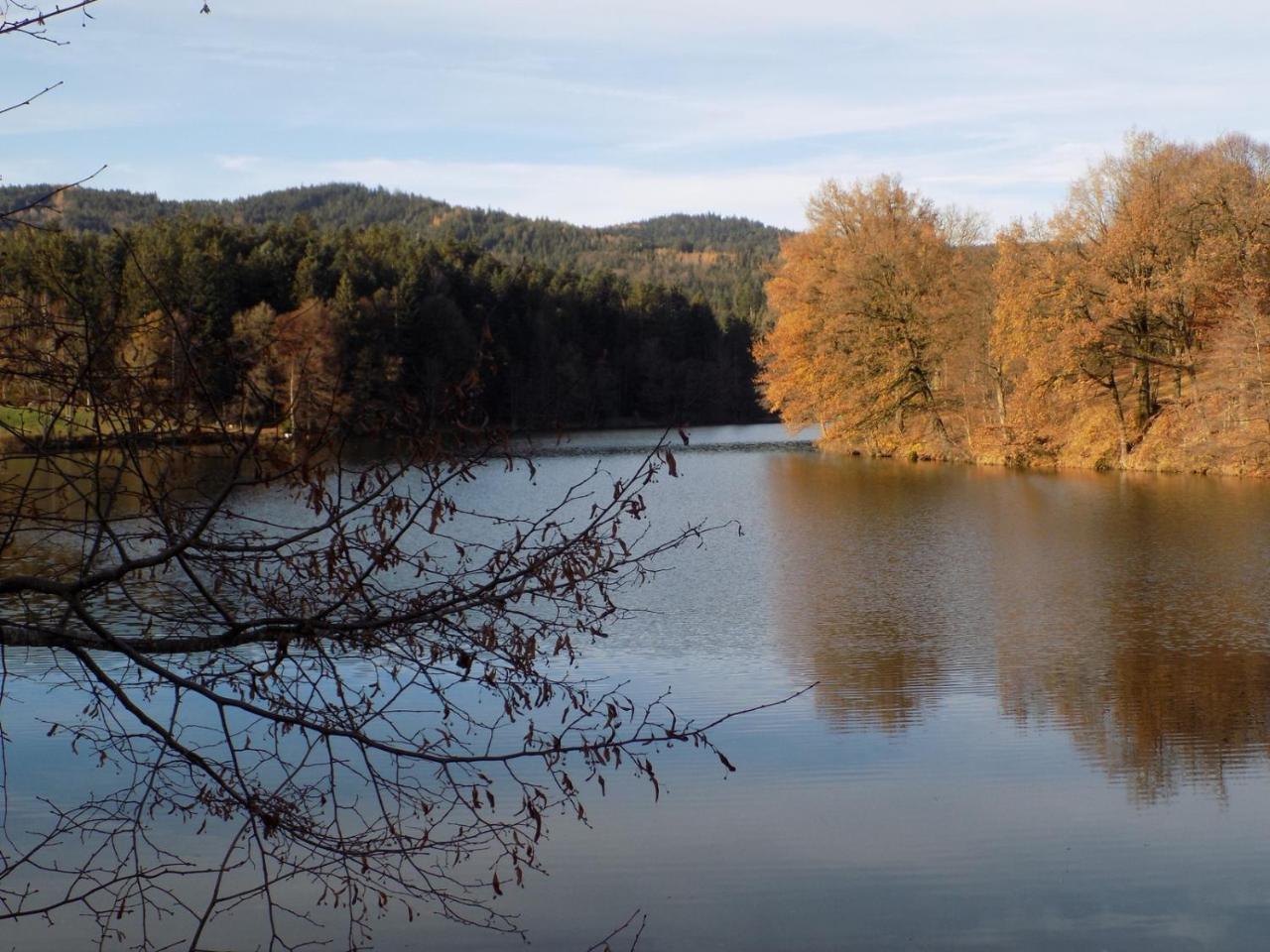 Ferienwohnung Waldblick ハウツェンベルク エクステリア 写真