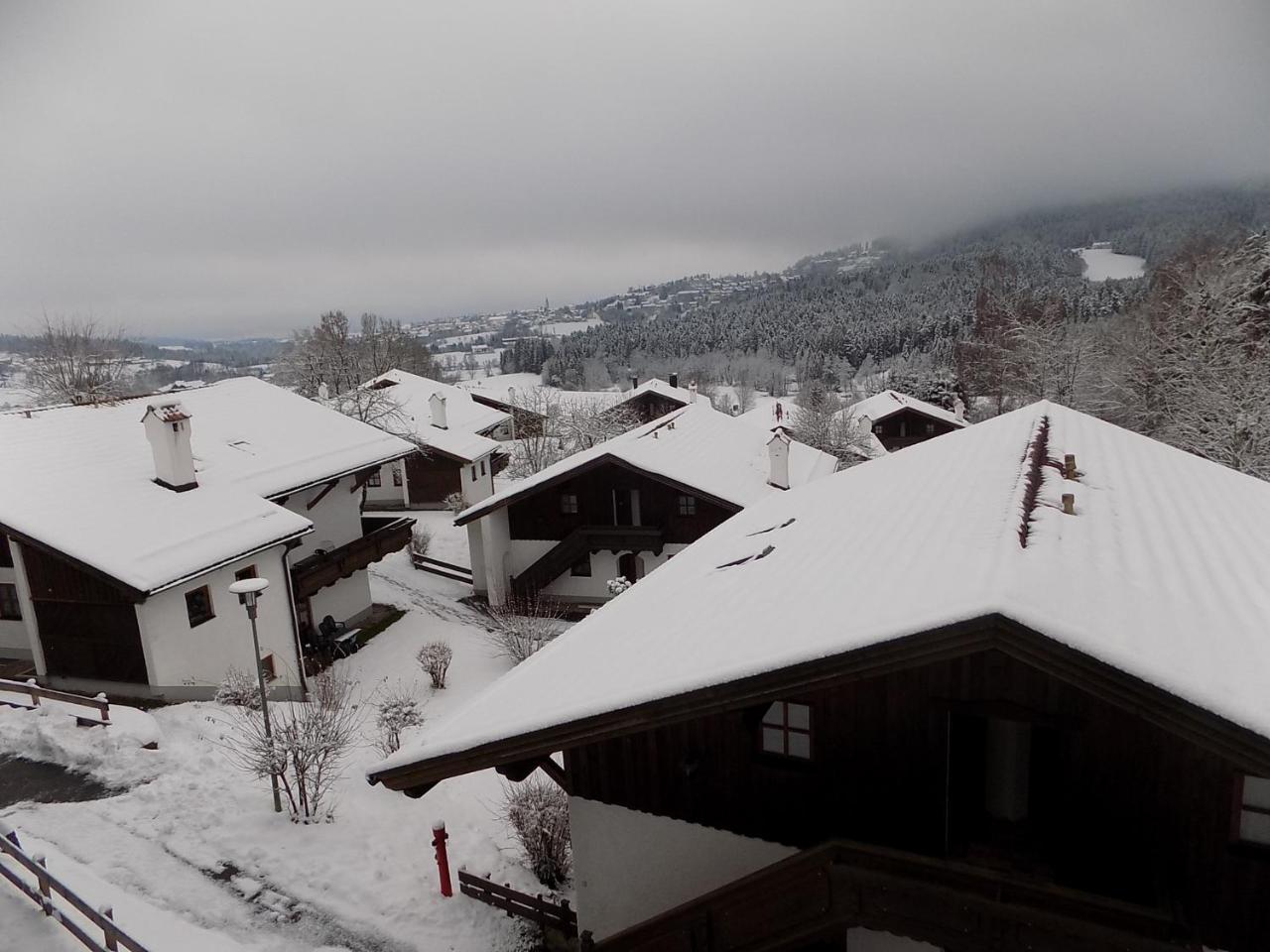 Ferienwohnung Waldblick ハウツェンベルク エクステリア 写真