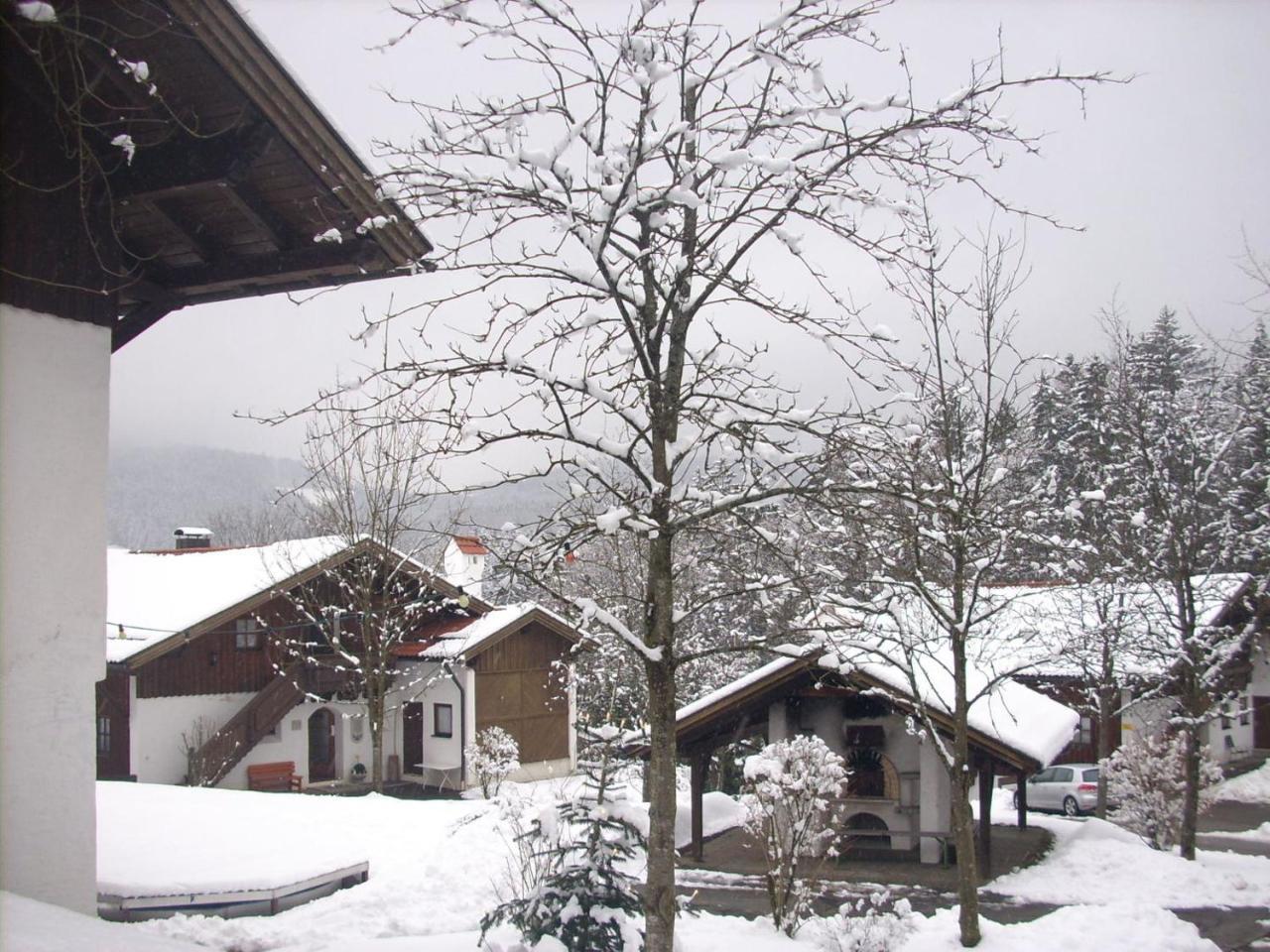 Ferienwohnung Waldblick ハウツェンベルク エクステリア 写真